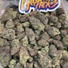 astroboy strain