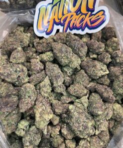 astroboy strain