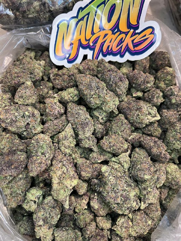 astroboy strain