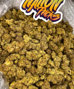 iced runtz strain