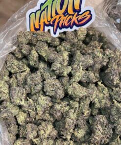 truffle pie strain