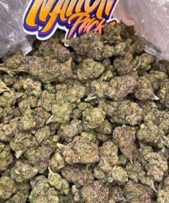 lemon cherry gelato strain