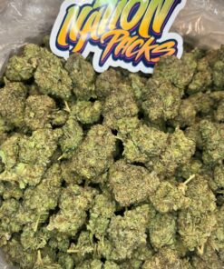 russian cream strain