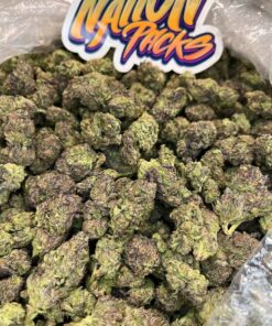 Runtzlatto Strain
