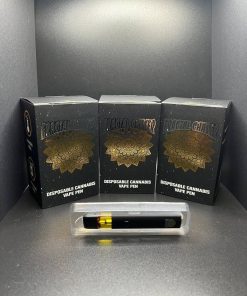 fractal chaser 1g disposable