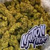 wham strain