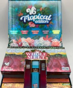 whole melts v6 2g disposable